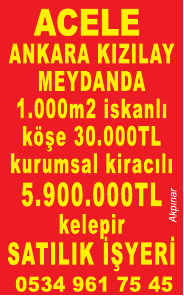 Page 1 ACELE NR 7 EYN) 1.000m2 iskamlı köşe 30.000 TL