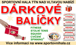 SPORTQVNÍ HALA TÝN NAD VLTAVOU NABÍZÍ