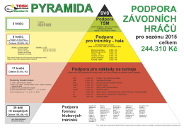 Motivační program pro závodní hráče