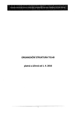 Platná organizační struktura TIC města Brna k 1. 4. 2016