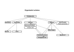 Organizační schéma