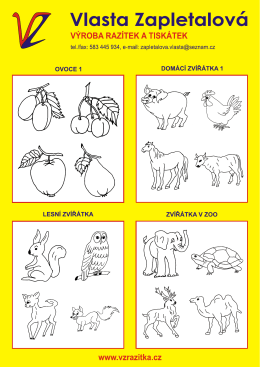 Vlasta ZCIplełalovćI