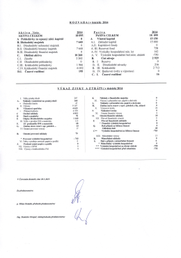 ROZ VA ll A ( v tisících) 2014 Aktiva Netto 2014 Pasiva