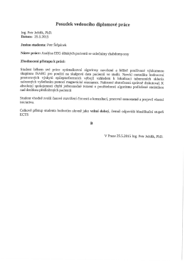 Posudek vedoucího diplomové práce