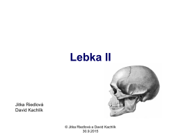 Lebka 2 - Anatomie 3.LF