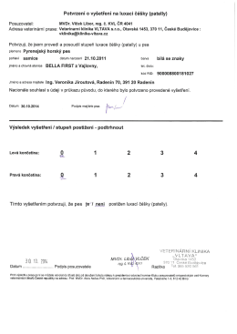 Posuzovatel: MVDr. Vlček Libor, reg. č. KVL ČR 4041