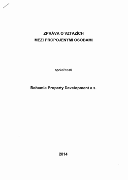 ZPRÁVA 0 VZTAZÍCH MEZI PROPOJENÝMI OSOBAMI
