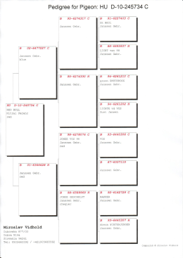 Pedigree for Pigeon: HU D-10-245734 C