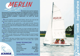 MERLIN - pdf 744 kB