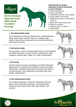 Ocena kondycji fizycznej konia (BCS- Body Condition