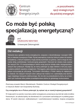 PDF / drukuj - Centrum Strategii Energetycznych