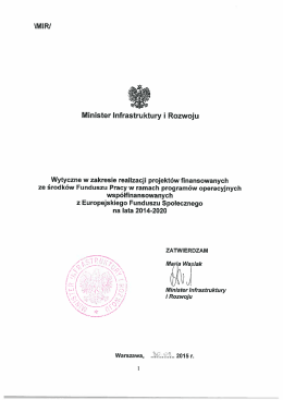 Załącznik nr 6 Wytyczne dla PUP