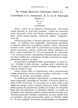pełny tekst