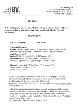 Bv. Holding Kft. Szolgálati garbó ajánlattételi felhívása