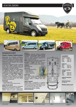 Excelsion prospekt