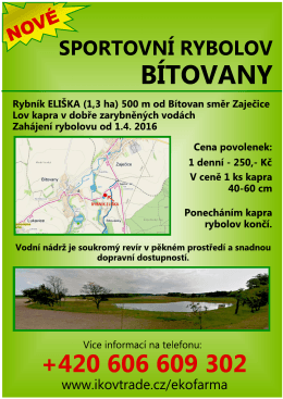 sportovn&iacute; rybolov v B&iacute;tovanech