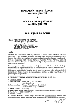 birleşme raporu