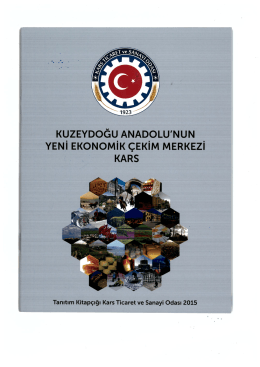 Page 1 KUZEYDOĞU ANADOLU`NUN YENI EKONOMİK ÇEKIM