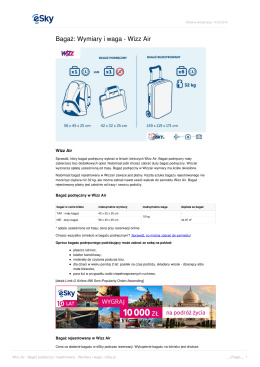 Wizz Air - Bagaż podręczny i rejestrowany - Wymiary i waga