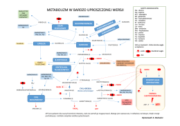 METABOLIZM W BARDZO UPROSZCZONEJ WERSJI