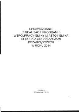 sprawozdanie z realizacji programu wsp&oacute;łpracy gminy miasto i