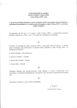 Zarządzenie nr 60/2015 wójta gminy Wolanów z dnia 20 lipca 2015