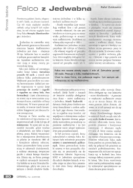 "DRWAL" Rafał Zubkowicz