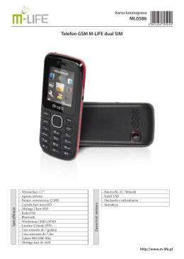 ML0586 Telefon GSM M-LIFE dual SIM