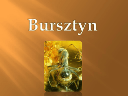 "Bursztyn" - autorka Julia Gawęda