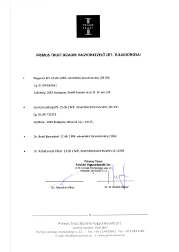 Tulajdonosi szerkezet