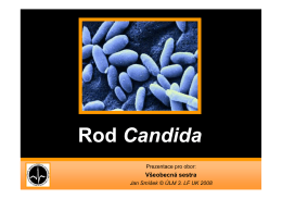 Rod Candida - Ústav Lékaøské Mikrobiologie 3.LF UK