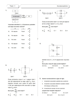 11.sınıf sığa test 1