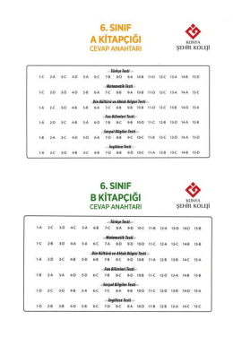 Page 1 6. SN- AKİTAPÇIĞI CEVAPANA