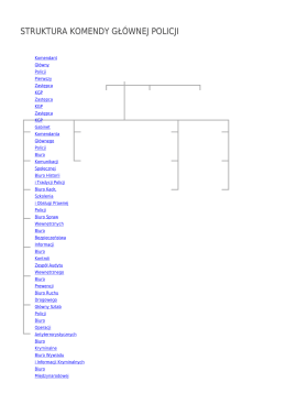 struktura komendy głównej policji
