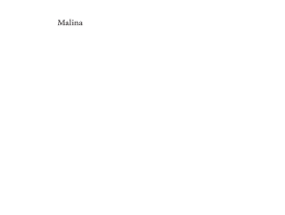 Fragment powieści "Malina"