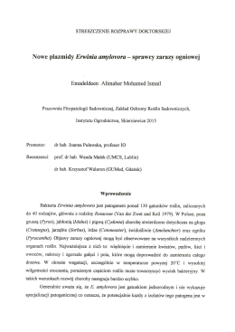 Streszczenie rozprawy doktorskiej