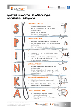 Komunikacja – Informacja zwrotna Model SPINKA.