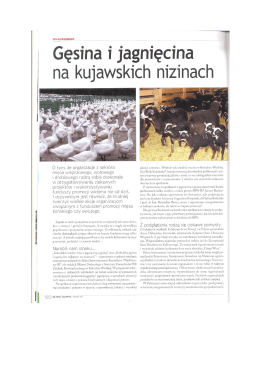 Gęsina i jagnięcina na kujawskich nizinach