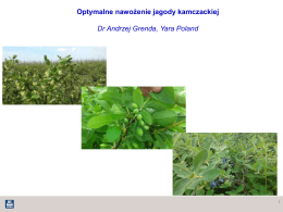 Optymalne nawożenie jagody kamczackiej