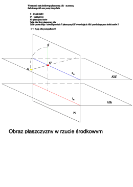 Obraz Dłaszczvznv w rzucie środkowvm