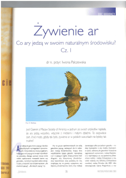 Żywienie ar. Cz. 1: co ary jedzą w swoim naturalnym środowisku