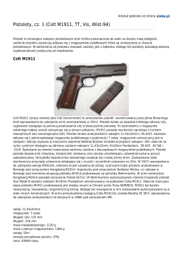 Pistolety, cz. 1 (Colt M1911, TT, Vis, Wist-94)