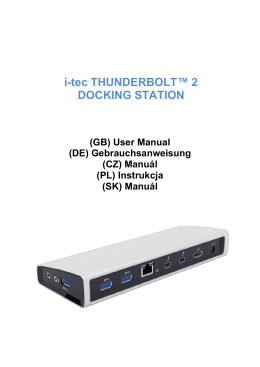 Docking Station with Video - I-TEC