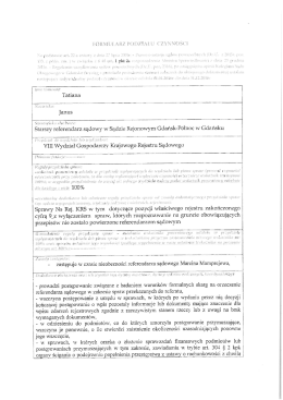 podział czynności