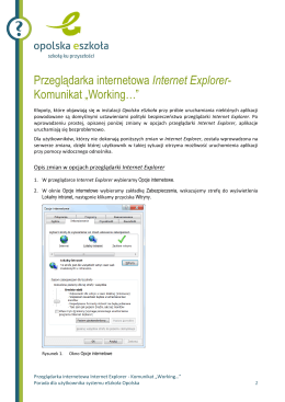 Przeglądarka internetowa Internet Explorer