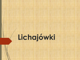 Prezentacja Lichajówki 2015