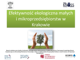 Efektywność ekologiczna małych i mikroprzedsiębiorstw w Krakowie