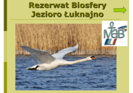 RB Jezioro Łuknajno - Generalna Dyrekcja Ochrony Środowiska