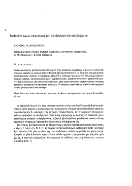 Pochodne kwasu oleanolowego i ich działanie