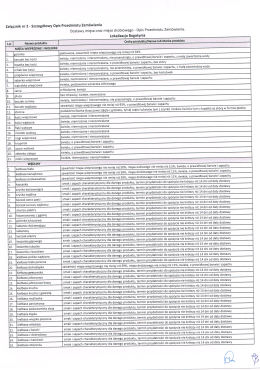 4. Szczegółowy Opis Przedmiotu Zamówienia - mega